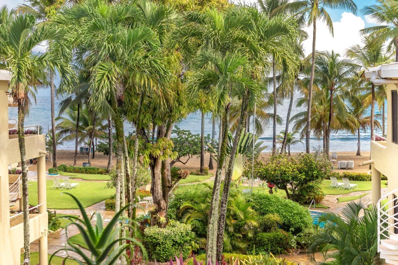 Cabarete Palm Beach Condos Εξωτερικό φωτογραφία