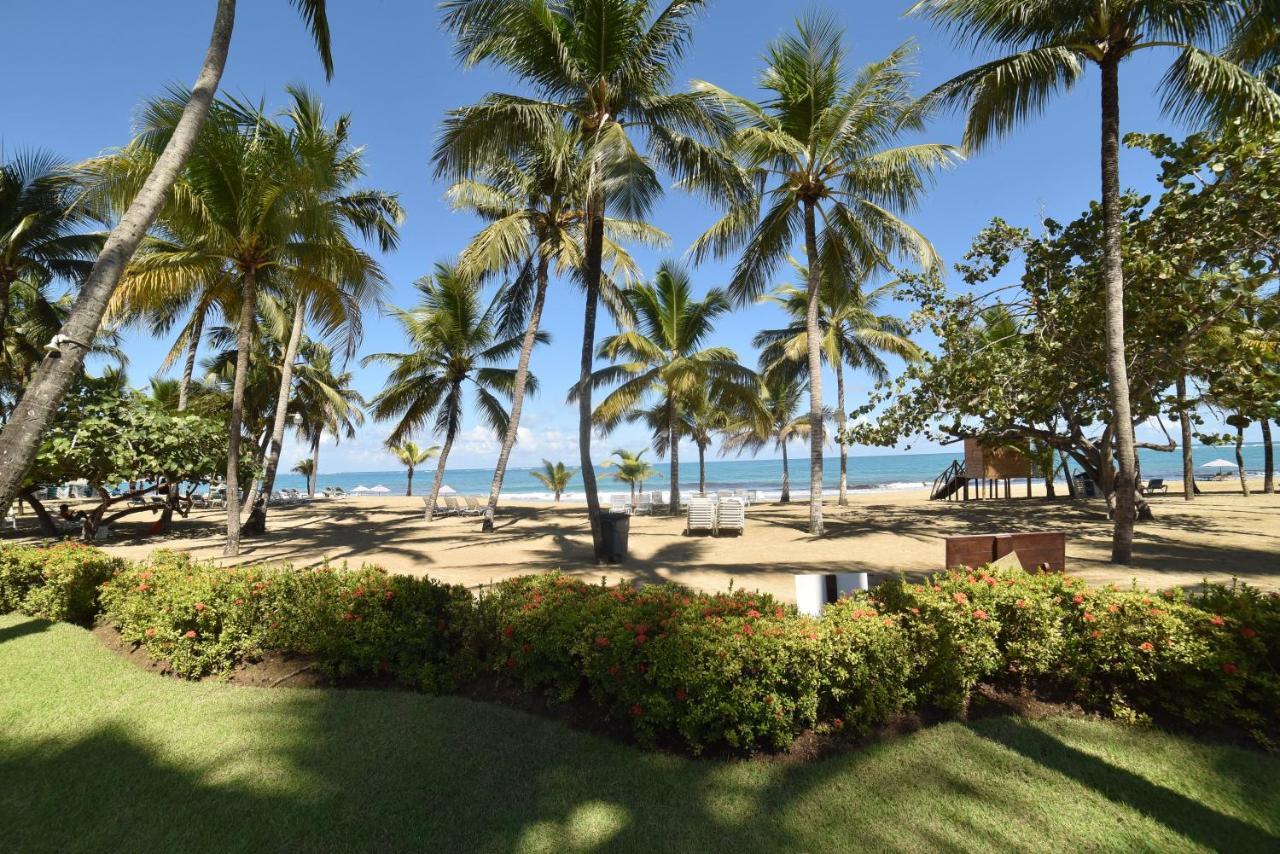 Cabarete Palm Beach Condos Εξωτερικό φωτογραφία